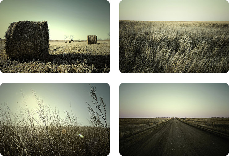 Prairie Stock Photography