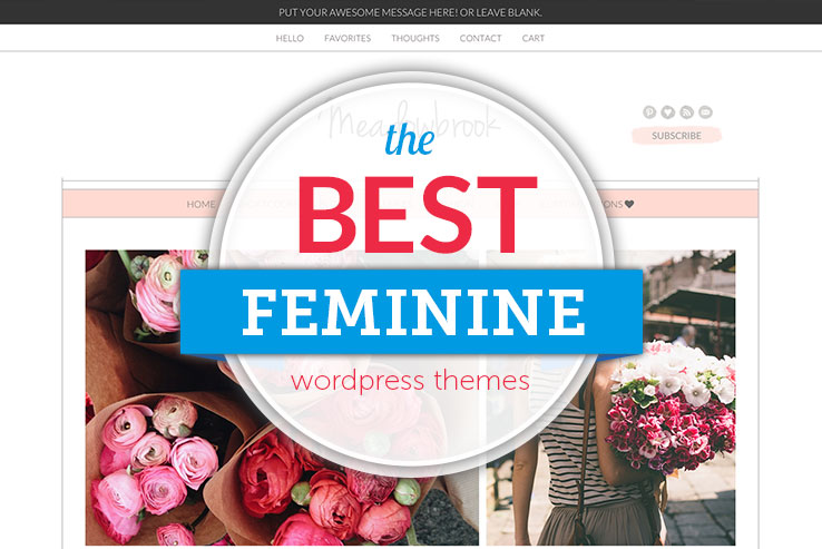 Feminine WordPress Themes