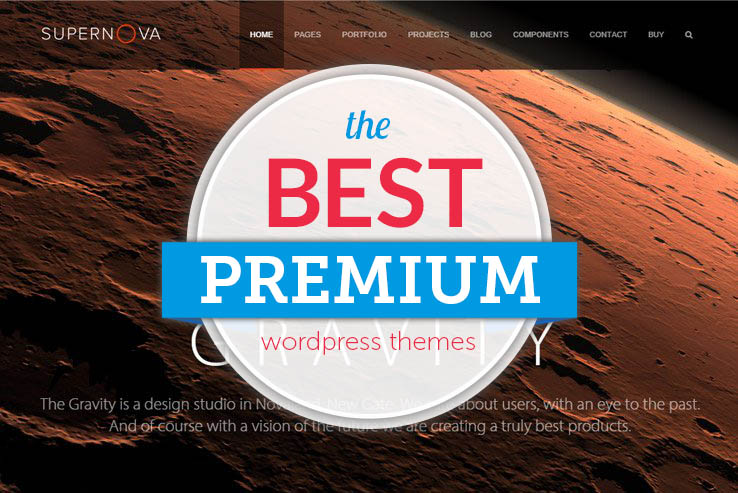 Best Premium WordPress Themes