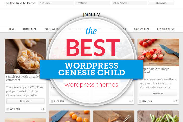 WordPress Genesis Child Themes