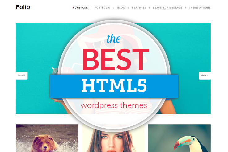 Best HTML5 WordPress Themes